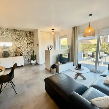 Modern House In With Terrace