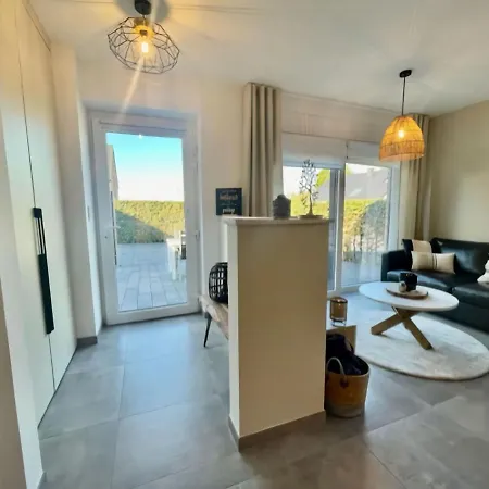 Modern House In With Terrace