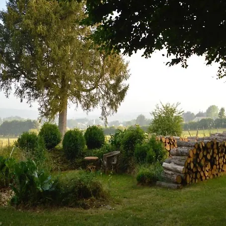 Modern House In With Terrace