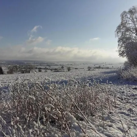 Modern House In With Terrace *