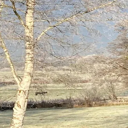 Modern House In With Terrace