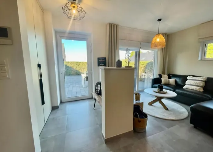 Modern House In With Terrace