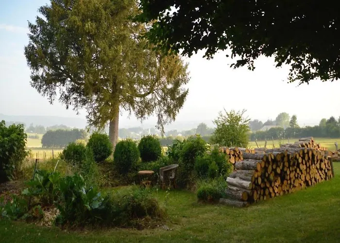 Modern House In With Terrace