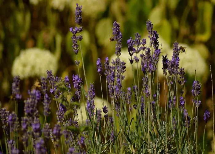 Modern House In With Terrace Hébergement de vacances