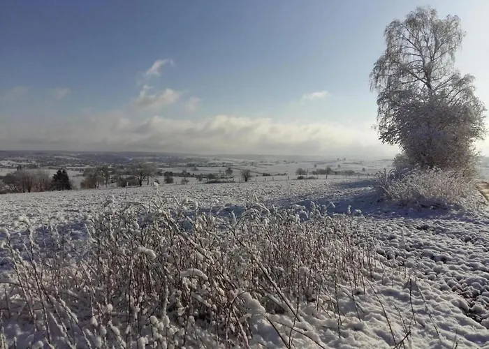 Modern House In With Terrace *