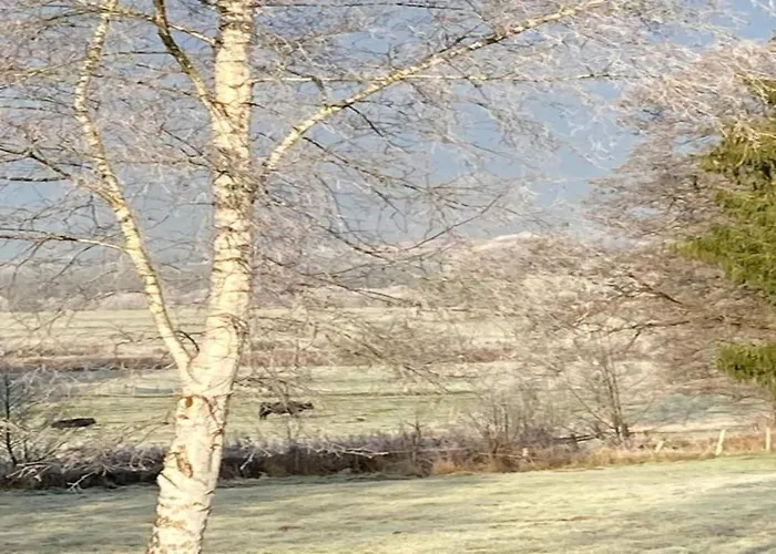 Modern House In With Terrace